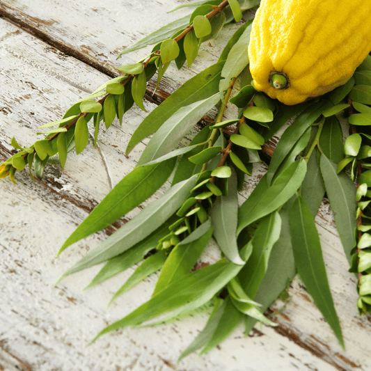 Celebrating Sukkot: A Time of Hospitality, Community, and Tradition